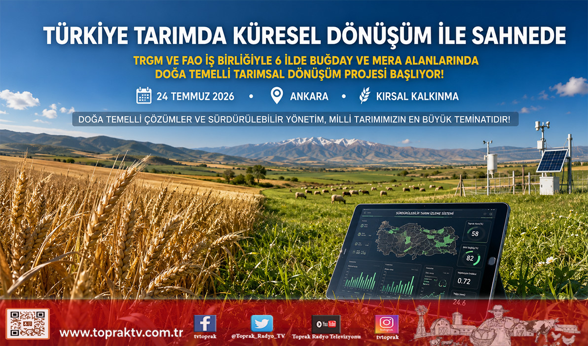 TCleventozdemir's tweet photo. https://t.co/chvuixtraJ
Türkiye doğa temelli tarım dönüşümünde küresel sahnede! 🌾 TRGM ve FAO iş birliğiyle 6 pilot ilde uygulanacak, 800 bin hektar alanda sürdürülebilir yönetimi hedefleyen dev projenin detayları profilimizdeki bağlantıda! 📲🌱 #ToprakTV #TRGM #FAO #GEF #DoğaTemelliTarım #BitkiselÜretim #HayvansalÜretim #TarımHaberleri