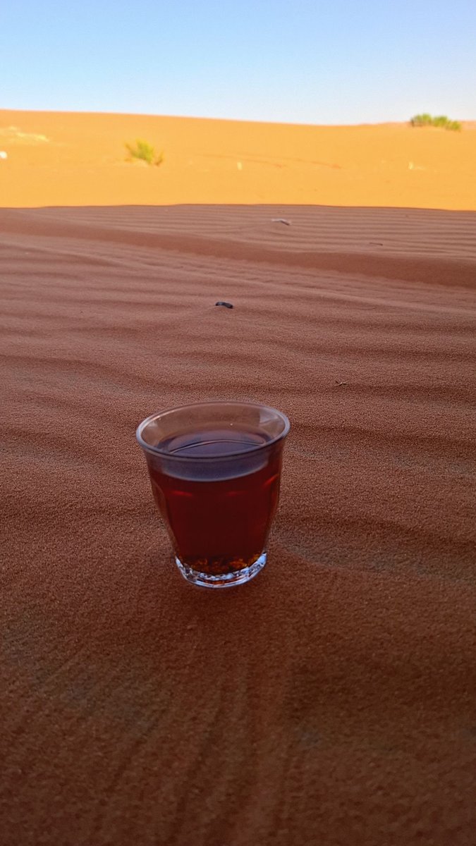new447's tweet photo. صباح النور والسرور https://t.co/O5JZRHjbln
