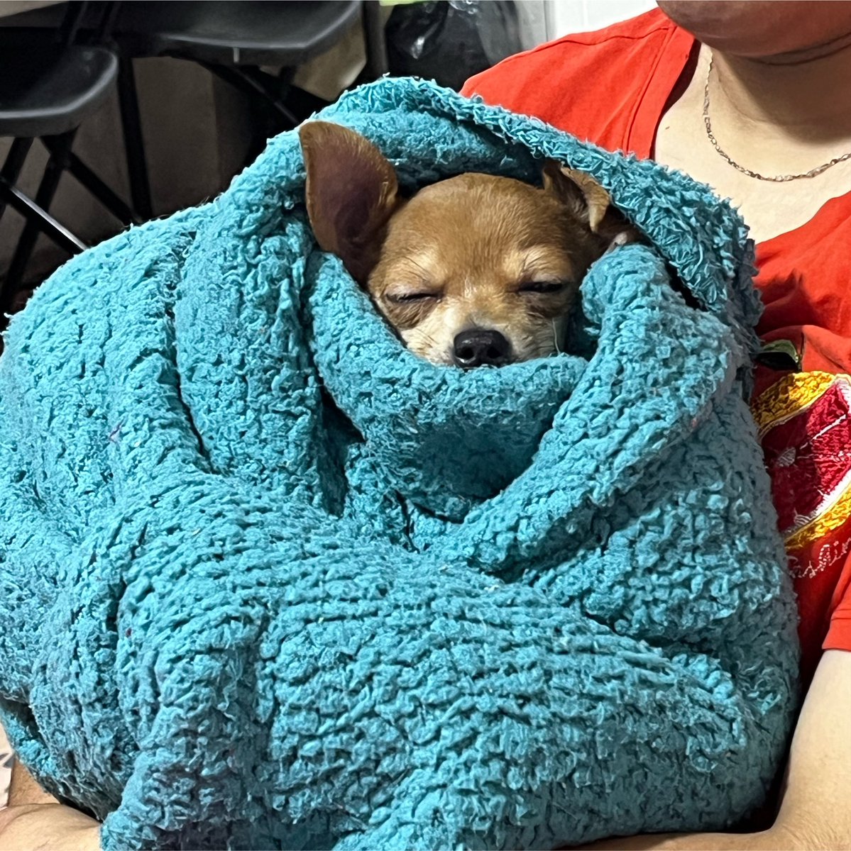 abs_wav's tweet photo. doy la vida por ti, benito, tqmmmm https://t.co/Mj4A4RhkD6
