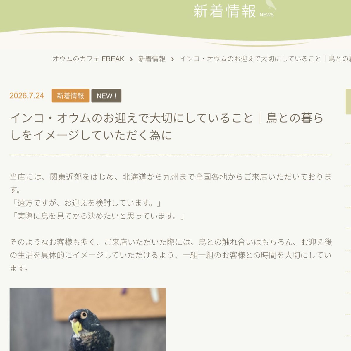 parrot_freak's tweet photo. 【HP新着情報】
「インコ・オウムのお迎えで大切にしていること｜鳥との暮らしをイメージしていただく為に」
当店では、鳥との触れ合いだけでなく、お迎え後の暮らしを具体的にイメージしていただけるよう、一組一組のお客様との時間を大切にしています。
ぜひご覧ください🍀
https://t.co/eJnb6a6BUM https://t.co/1tB56NoV2u