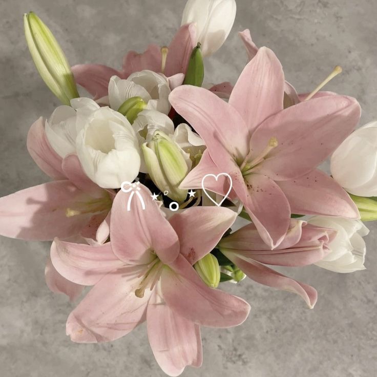 vexxpink's tweet photo. I just received flowers from Anonymous via Throne. Thank you! https://t.co/UnNP4aiDLi #Wishlist #throne https://t.co/KpBMWp64ne
