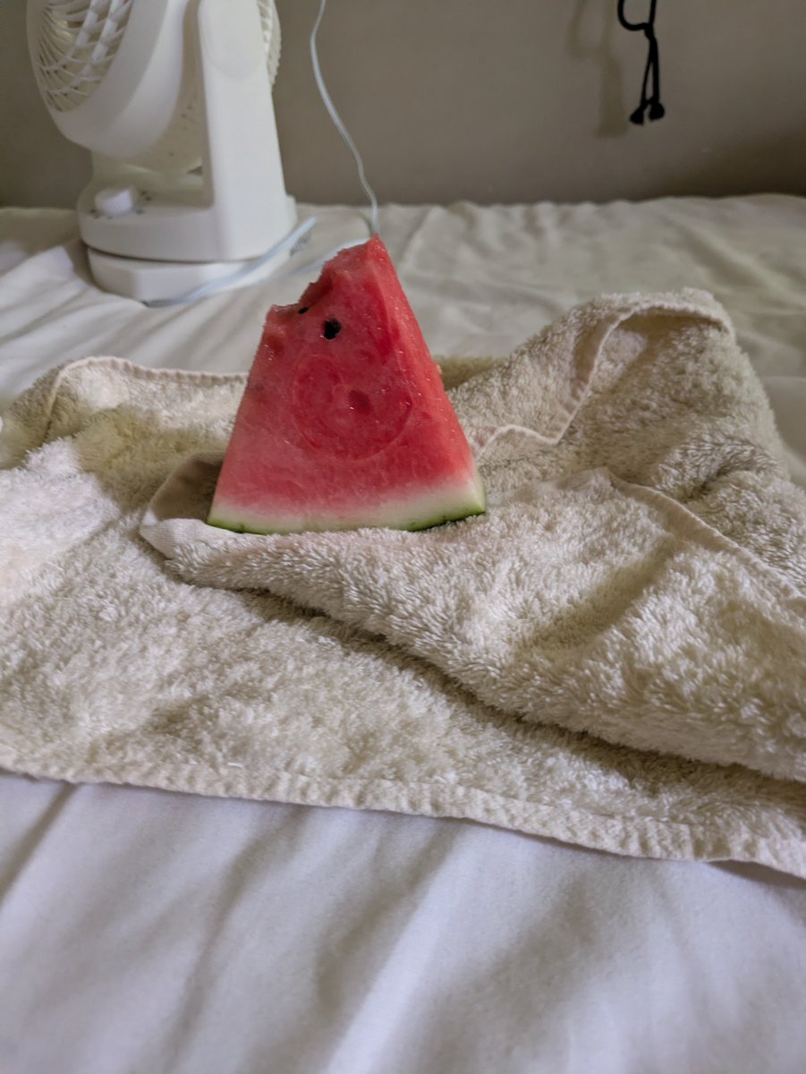Pomapomapoli's tweet photo. 夏だ♪夏だ♪ https://t.co/8g6lWY7h7M