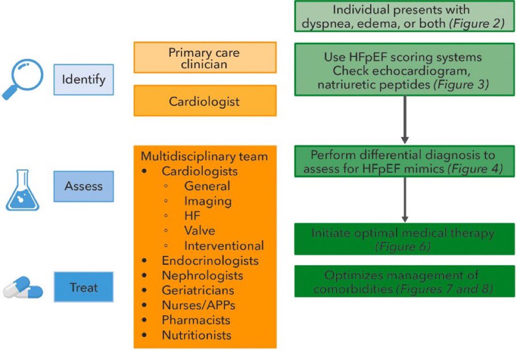 drbennisahmed's tweet photo. Management of Heart Failure With Preserved Ejection Fraction: 2026 ACC Expert Consensus Decision Pathway: A Report  ACC Solution Set Committee

HFpEF is no longer viewed as a single cardiac condition, but rather as a complex
multisystem syndrome

https://t.co/ZGqNU6vBUQ https://t.co/TebwKIEH6F