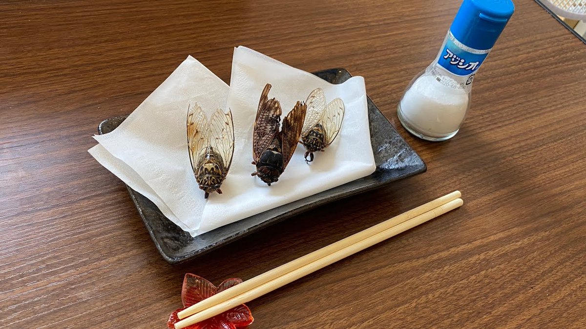 Matosinnji's tweet photo. #間桐さんちの今日のごはん

桜を怒らせたてしまった日の昼飯がこれ https://t.co/E6W9wtjthR