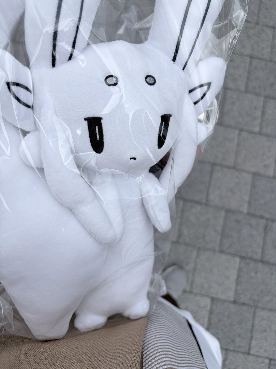 feather_cloth's tweet photo. そろそろ帰るか https://t.co/XDiVOk4HAJ