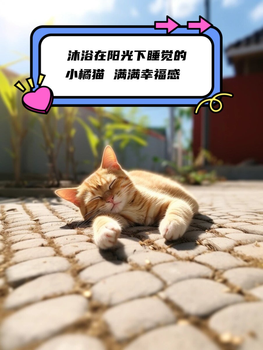 MabelLimber's tweet photo. 谁懂啊！捡回来的小奶猫今天终于会主动蹭我掌心要罐罐啦成长的小细节，全是治愈日常！ https://t.co/UIHUL7xnyJ