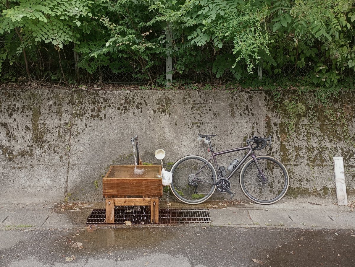 roadchari75's tweet photo. 毎日、日最高気温の高い方の10位以内が複数出るような所は、何処に行っても暑い。
冷水を被ったけど、あっと言う間に効果は消え失せた。 https://t.co/CXvc5KvREV