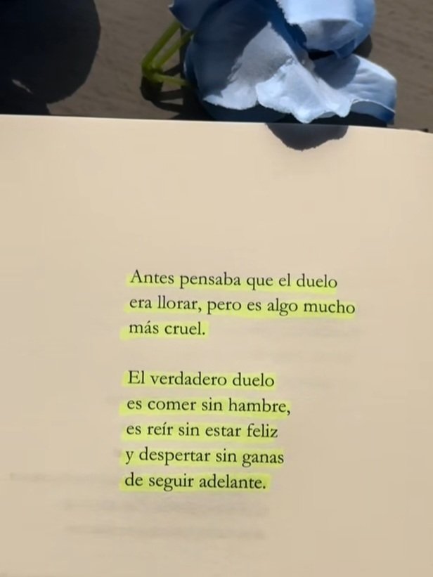 Barbisoria26's tweet photo. https://t.co/5JpemBLmUG