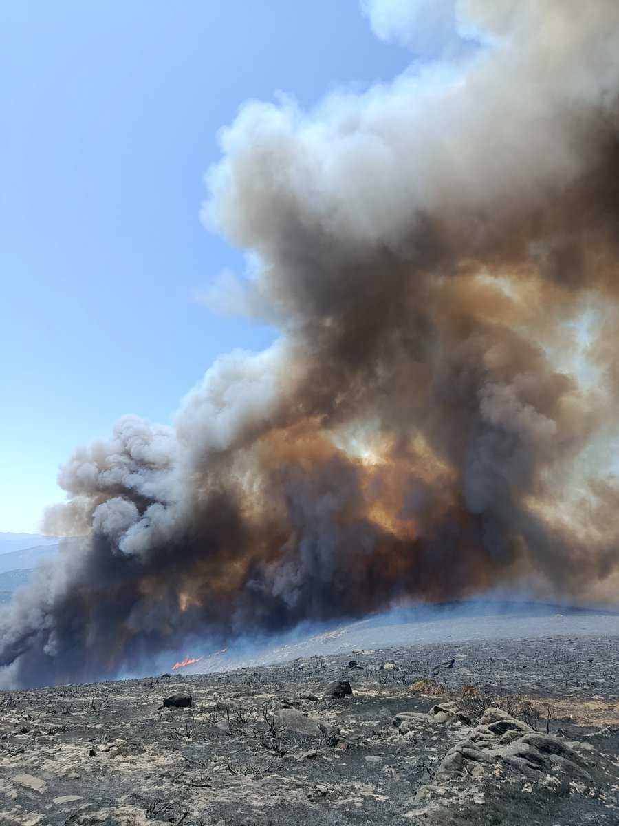 jurdanobrif's tweet photo. Hay que tener un conocimiento pésimo y una mente trastornada para decir que los incendios los provoca el cambio climático y no las miles de multas impuestas absurdas que impiden limpiar nuestros bosques.

❌Multa por recoger piñas secas
❌Multa por sacar a pastar a los animales👇 https://t.co/qfuFAV0wDi