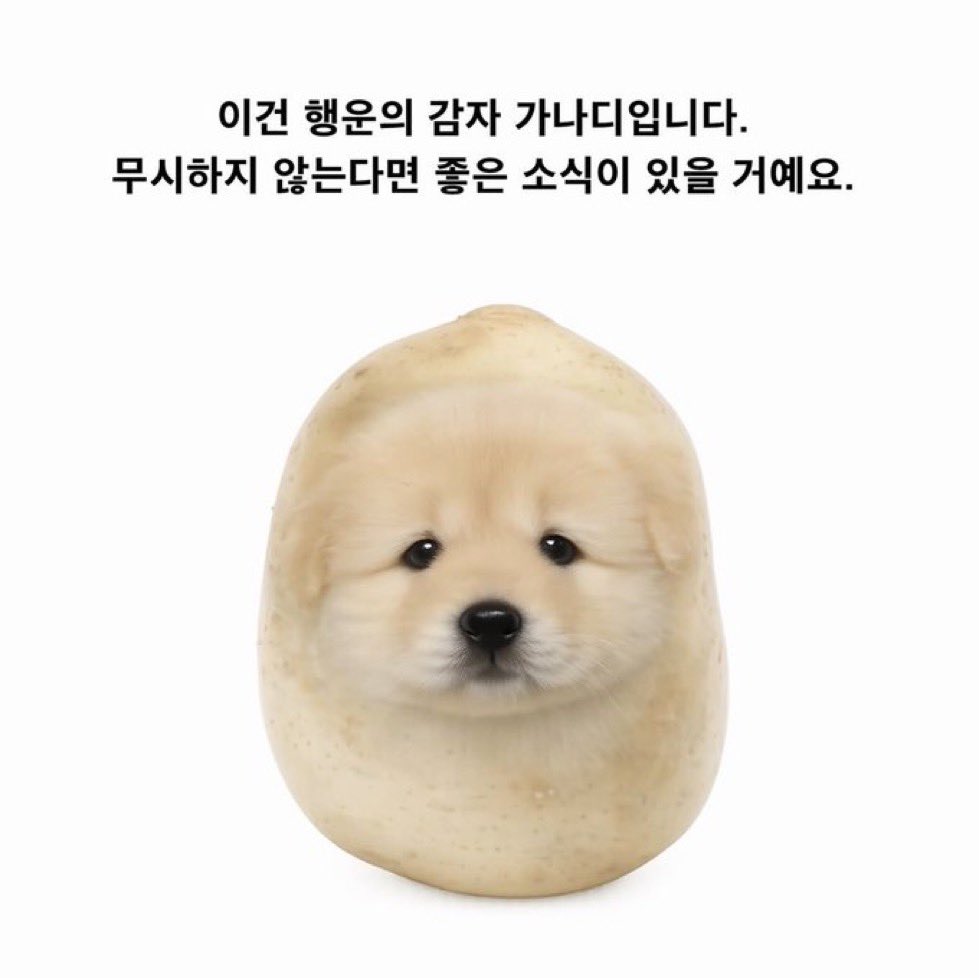 뀨 tweet media