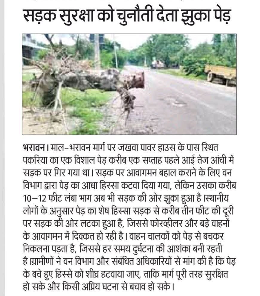 aman1622026's tweet photo. सड़क सुरक्षा को चुनौती देता झुका पेड़

@UPForestIndia @UPSRTCHQ @uppwdgov @DMHardoi @hardoipolice @Uppolice @112UttarPradesh 
#भरावन #हरदोई #RoadSafety #सड़क_सुरक्षा #वन_विभाग #PublicSafety #Hardoi #UttarPradesh #MalBharawanRoad #BreakingNews #AmanJournalist https://t.co/oGZs8FyO2w