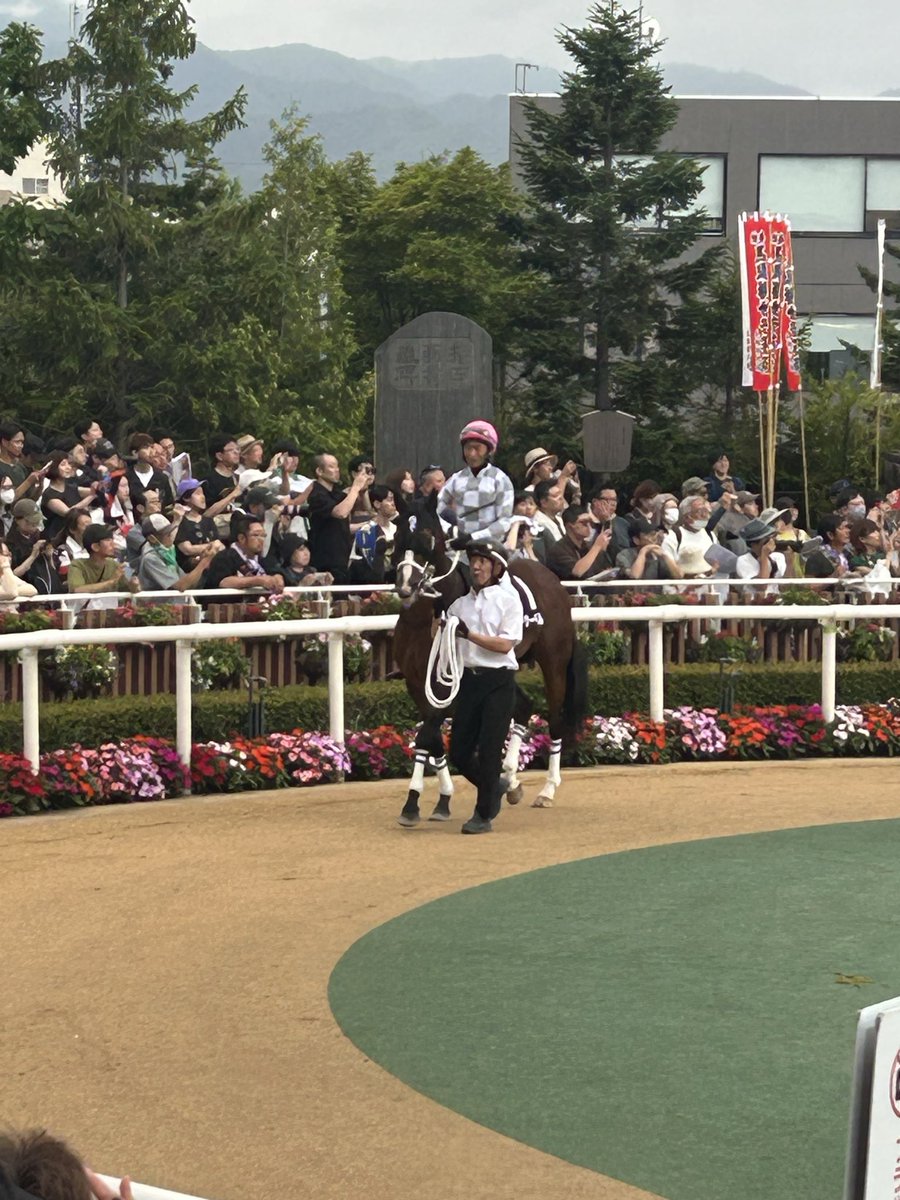 ichiichi53's tweet photo. ゴールドサーベルは少し良く見えますが、勝ち負けは厳しそう。 https://t.co/un43J7wN39