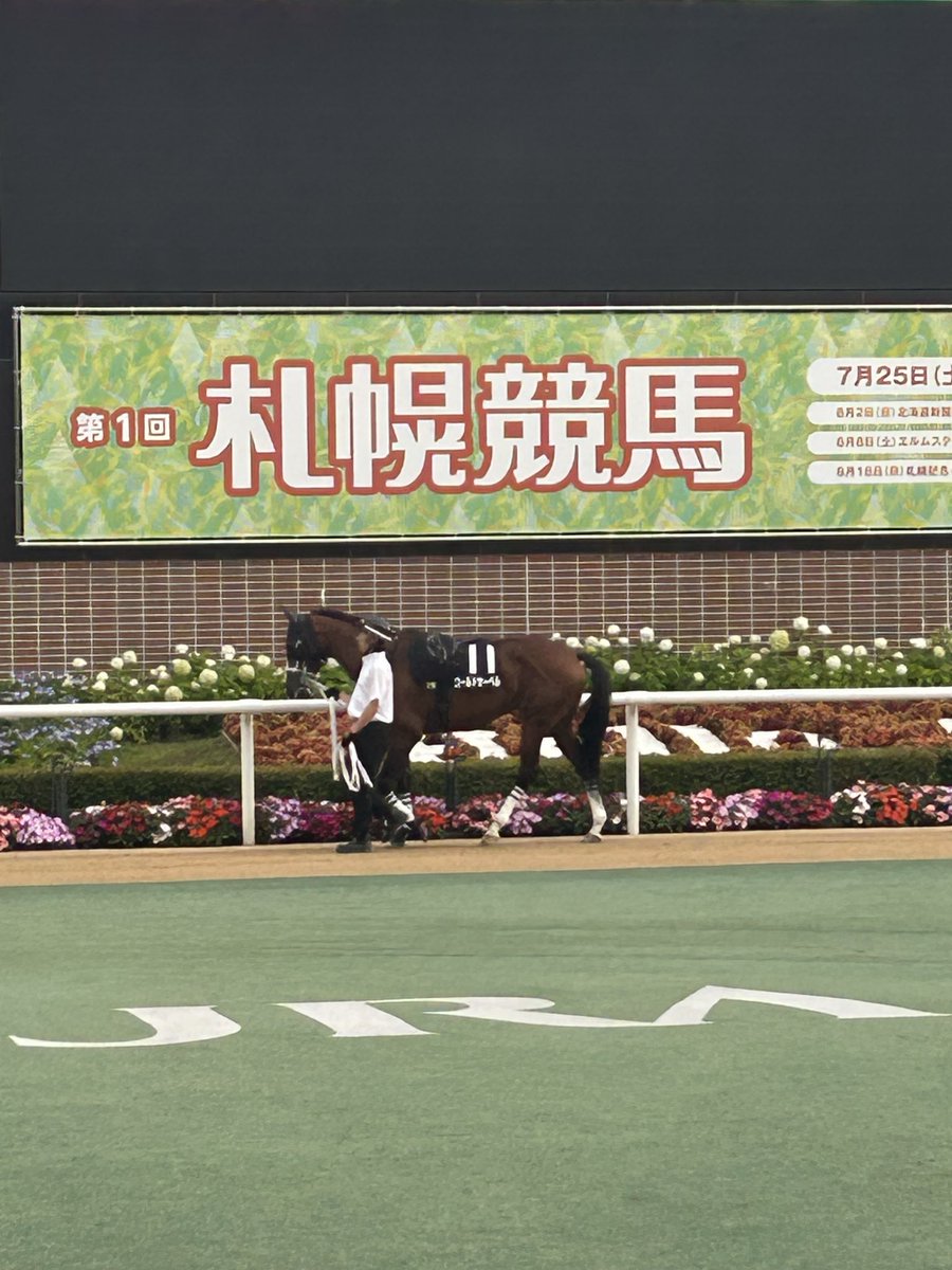 ichiichi53's tweet photo. ゴールドサーベルは少し良く見えますが、勝ち負けは厳しそう。 https://t.co/un43J7wN39
