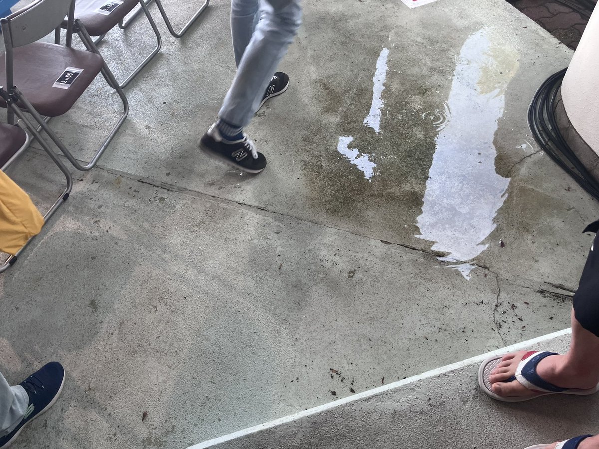 bridmaster's tweet photo. 先週の太閤山ランドのスターダストレビュー野外編、途中の横殴りの雨にはどうしようかと思ったが終了間際に止んで良かった、ボーさん元気だった https://t.co/z7p4hjC0BQ