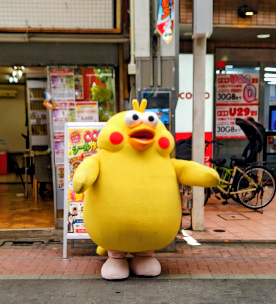 ポインコ