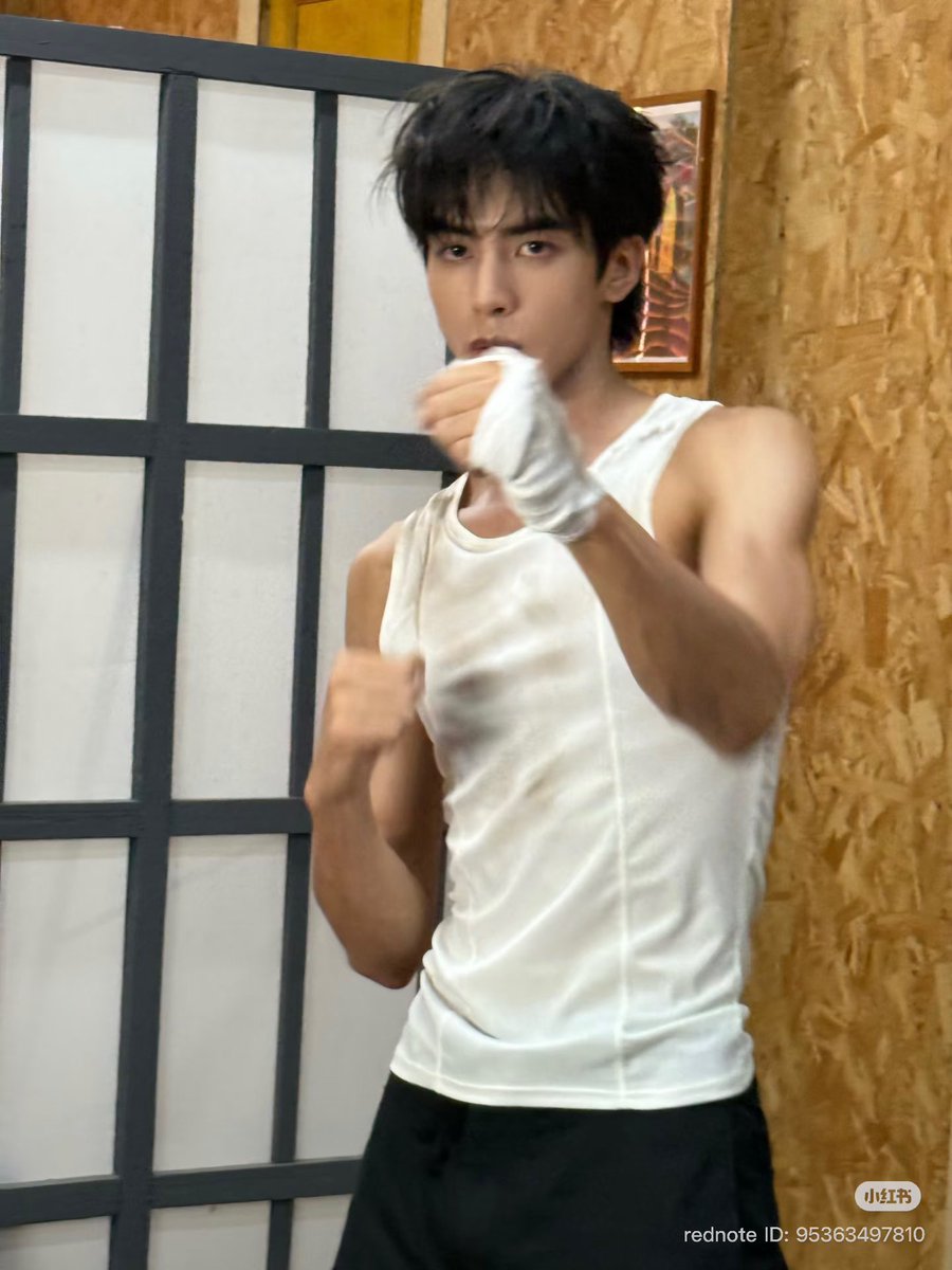 Song Weilong Updates tweet media