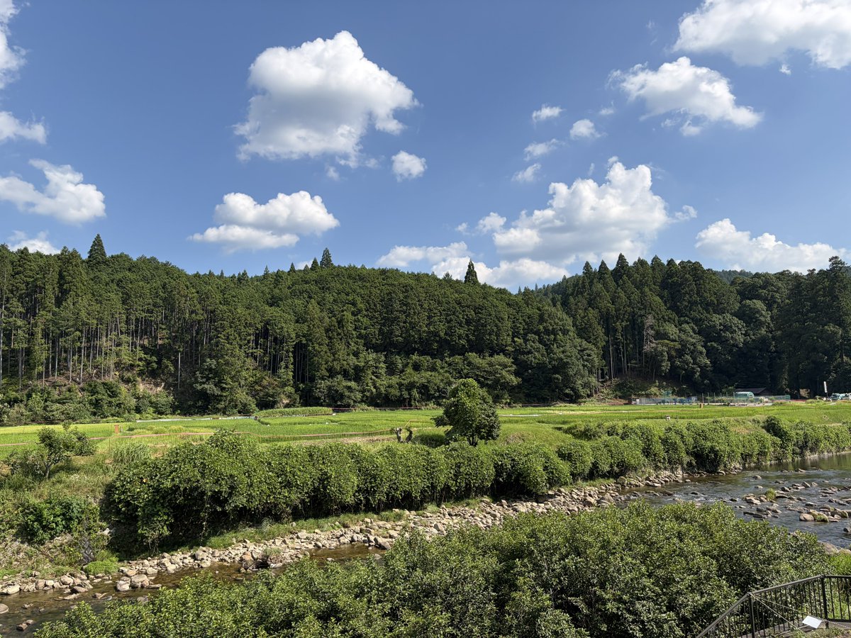 REGI_YUTAN's tweet photo. 夏☀️ https://t.co/cCnKpWTznP