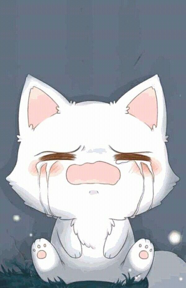 goye29's tweet photo. https://t.co/B6nuIXjwIW