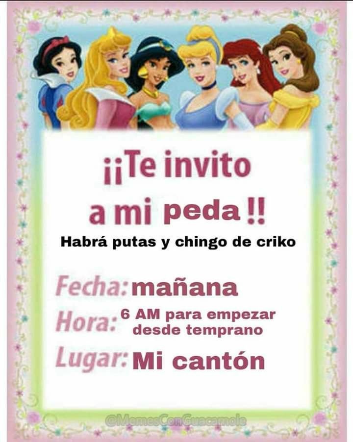 dani tweet media