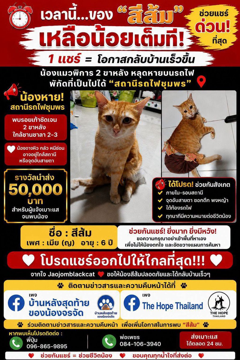 KhaohomSiri's tweet photo. #โหนกระแส ช่วยมาดูเรื่อง #แมวหายบนรถไฟ ได้รึยัง 26วันแล้วทึ่น้องหายไป การรถไฟ พนักงานทำความสะอาด ไม่ให้ความร่วมมือตามหาน้องเลย พูดความจริงรึเปล่าก็รู้ มีแต่อาสาและทีมโซเชียลที่ช่วยกันทุกวัน 

หากไม่รบกวนฝากพิจารณาช่วยหน่อยค่ะ🙏🏻

#แมวหาย #ส้มส้ม https://t.co/gzUPv3pLGE
