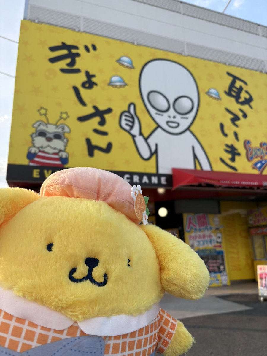 かおりん。 (@kaorin_n_) / Posts / X