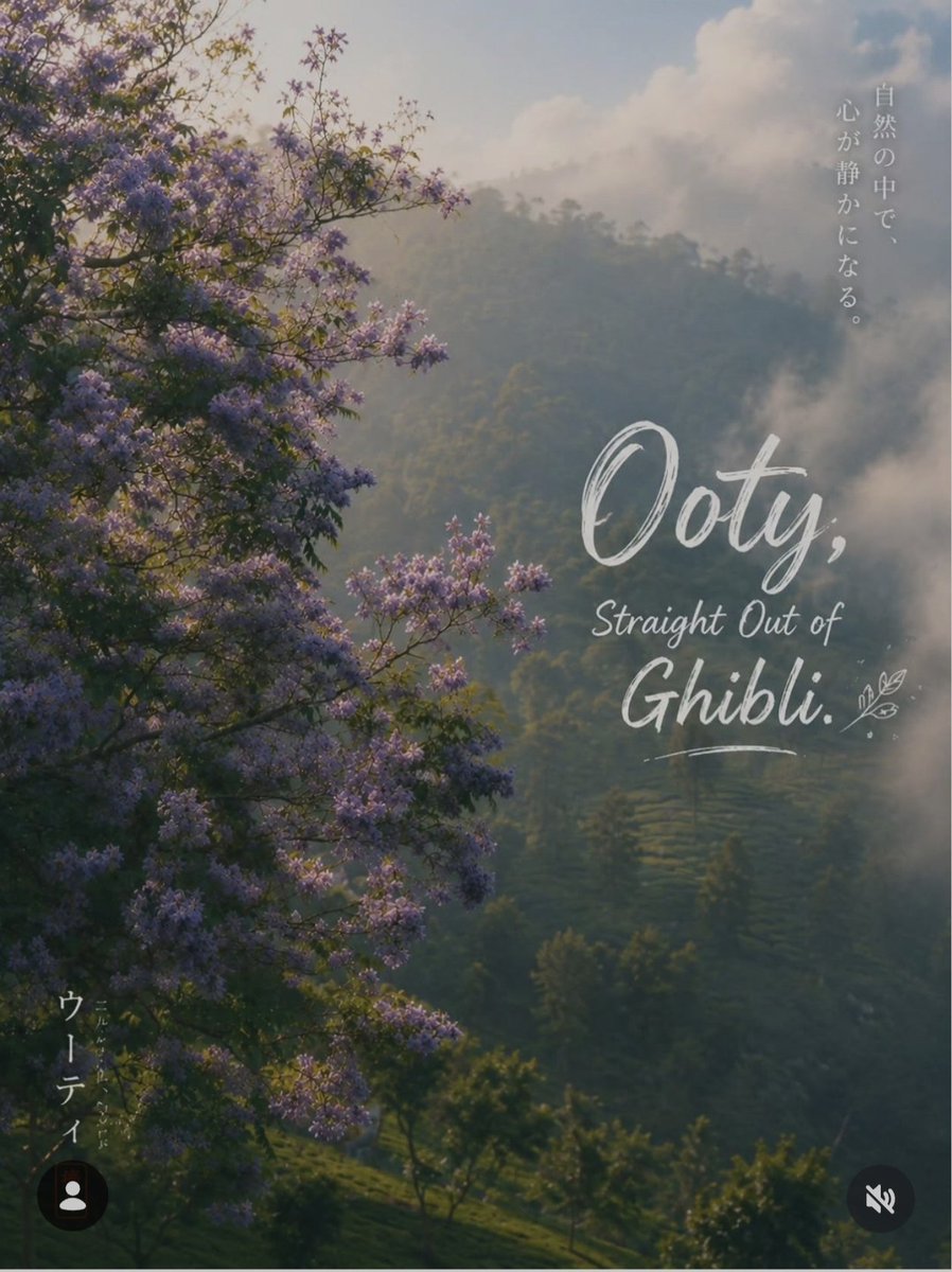 tweetKishorec's tweet photo. Ooty, Straight Out of Ghibli 💜

Some places don't need animation to feel magical.

The purple Jacaranda blooms, rolling tea gardens, golden mist, and peaceful mountain breeze make Ooty feel like it stepped straight out of a Ghibli dream.

Every frame is real. Only the feeling is magical.

Ooty, The Nilgiris, Tamil Nadu, India

Pc - Safadar Hafeez