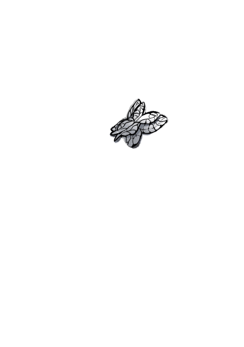 L_11033's tweet photo. 流行りの🦋 https://t.co/mfU9GurRCE