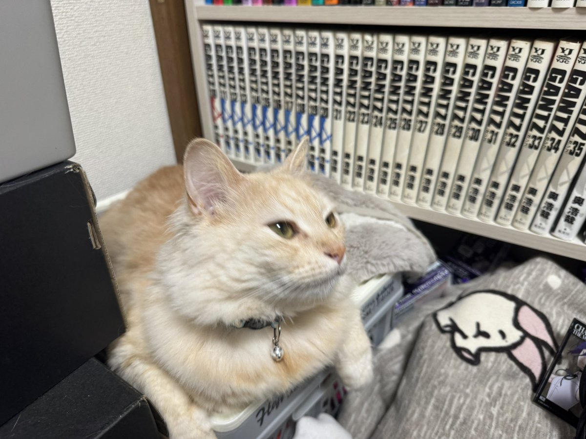 muder_l's tweet photo. 箱スポしてた気づいたら https://t.co/5hAwjukSkQ