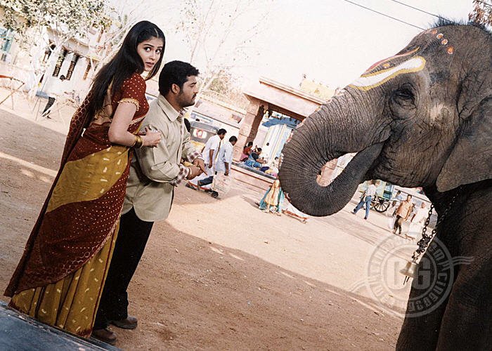 Raju 🏏🐎 tweet media