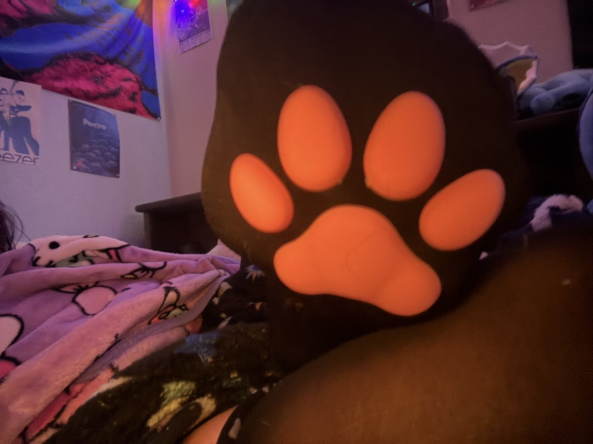 Honeebe3's tweet photo. Who wants to be crushed under my paws :3 looking for piggys to worship them !!! https://t.co/rgFF0aQKmv