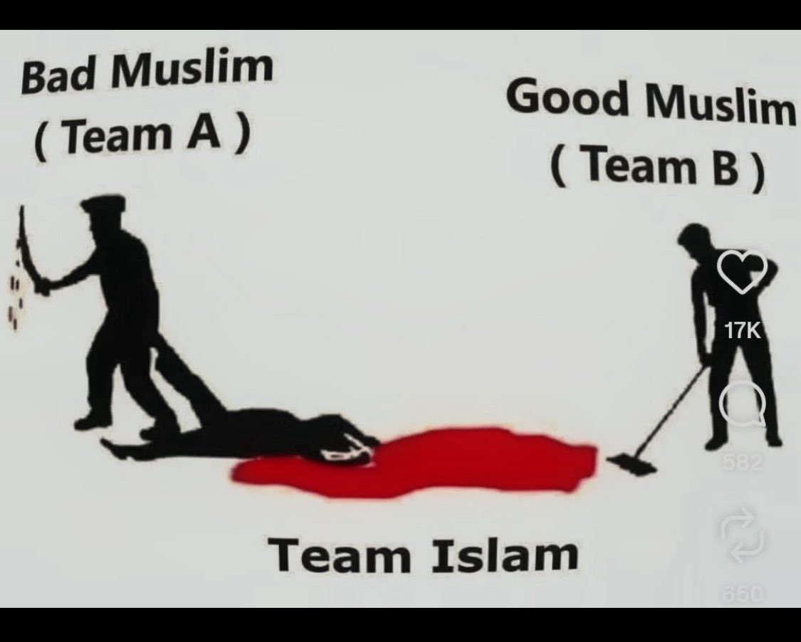 Niddssingg's tweet photo. @RanaAyyub @RanaAyyub why do you feel sad or cry when a Muslim doing anti-national activity is caught oh yeah you from same category https://t.co/FXNdxqhWfz