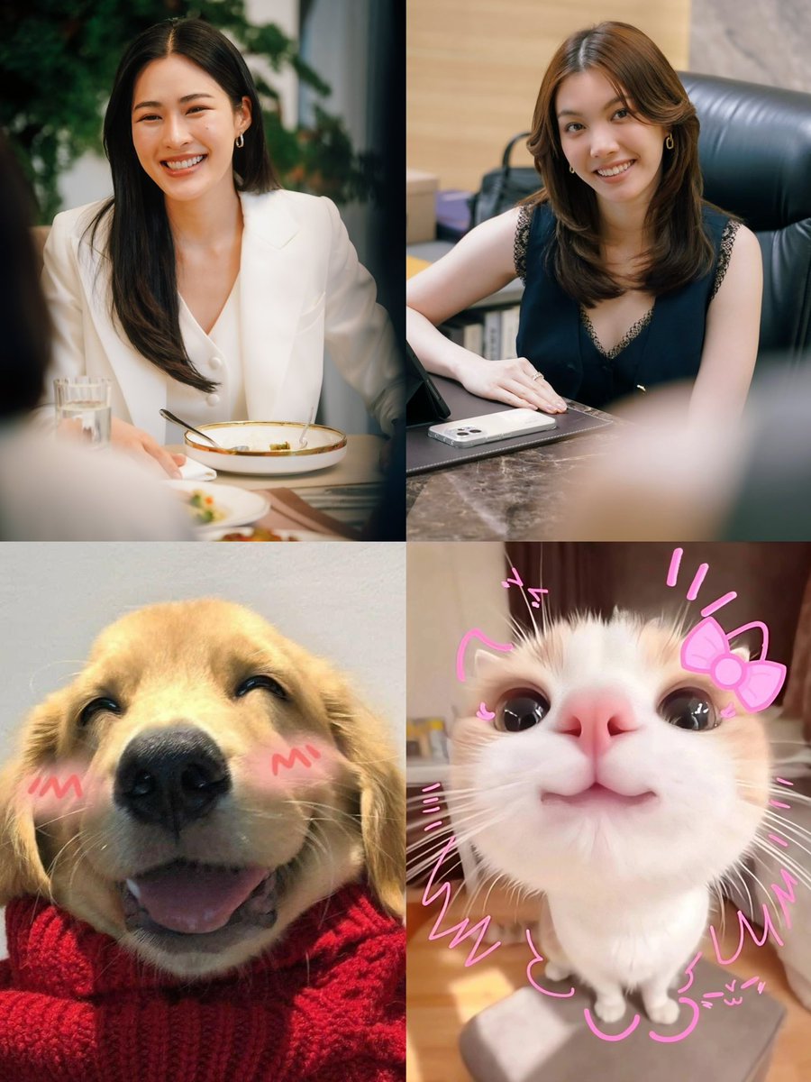 LingOrm_BH's tweet photo. 🐶🐱

LINGORM ILF EP6
#วาดฝันวันวิวาห์EP6
#หลิงออม 
#LingOrm https://t.co/CB2ocYXzoO