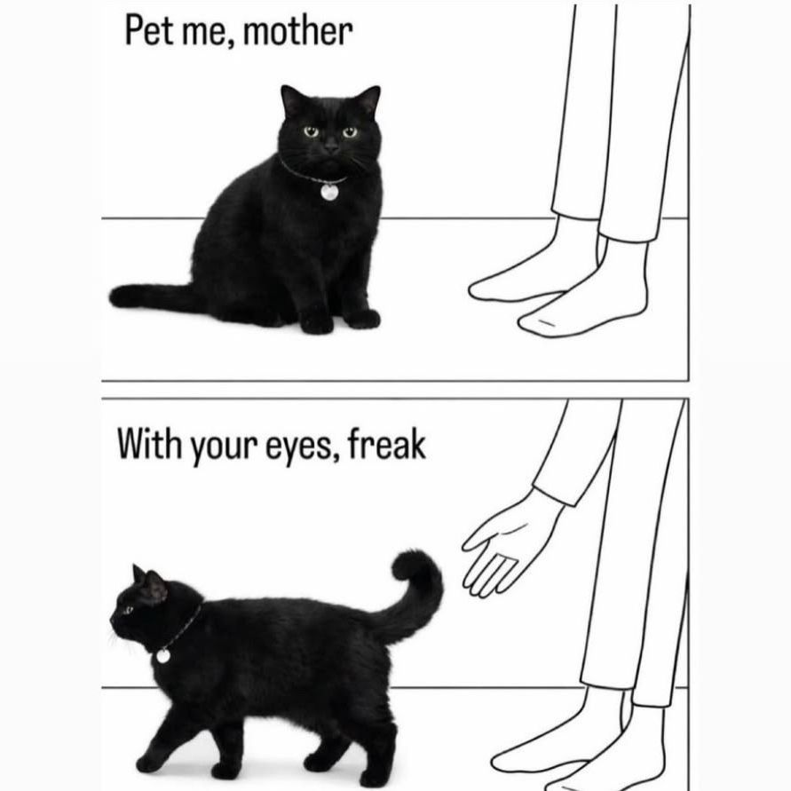Cats_ooc's tweet photo. https://t.co/Gb7tnBlrdY