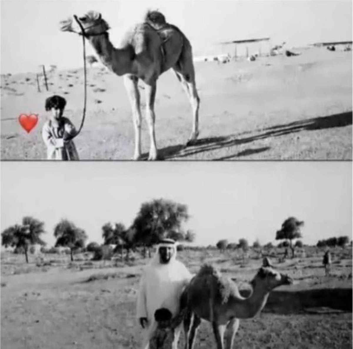 ad3ya777's tweet photo. مرت سنة ... وما زال الدعاء لها حاضرًا في كل يوم 
اللهم اشفٍ فاطمة شفاءَ من عندك لا يغادر سقمًا. اللهم أبدل ألمها راحة، ودموعها فرحًا، وانتظارها بشرى، واجعل الأيام القادمة تحمل لها الشفاء التام والعافية الكاملة. يا رب، لا تجعل هذه السنة إلا آخر سنةٍ من المرض. https://t.co/QFmgHUmolr