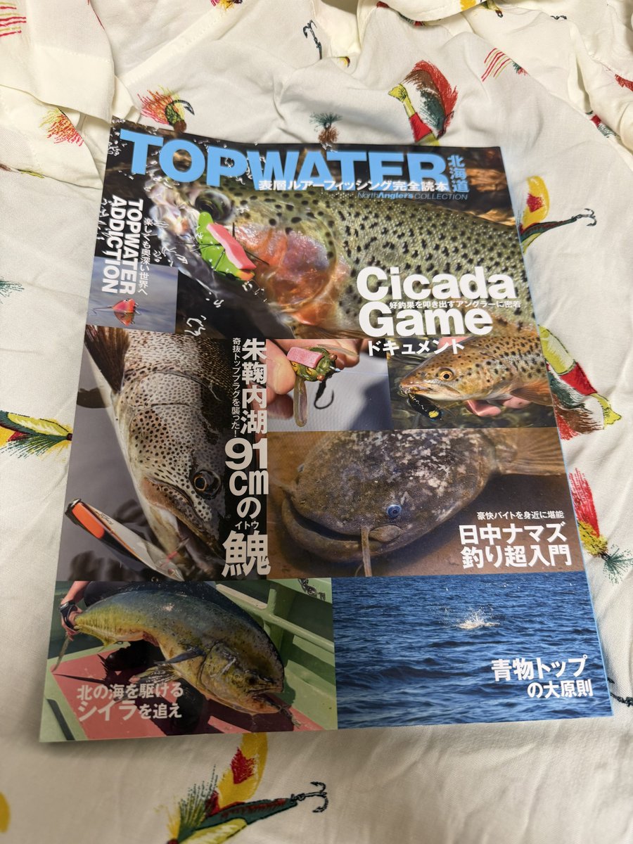 kazika_niki's tweet photo. 投稿遅れちゃいましたが、つり人社から『TOPWATER北海道』発売となりました！今回、ガヤプラッキングの世界と題しまして執筆させて頂きました。身近にいるガヤにスポットライトを当ててよりルアーフィッシングが楽しくなりますように。と書きました！他のコンテンツも面白いので是非一読お願いします！ https://t.co/oiE1nLUTXa