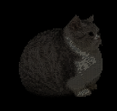 x64ops's tweet photo. le chatton fat https://t.co/O6v9IYHxTL