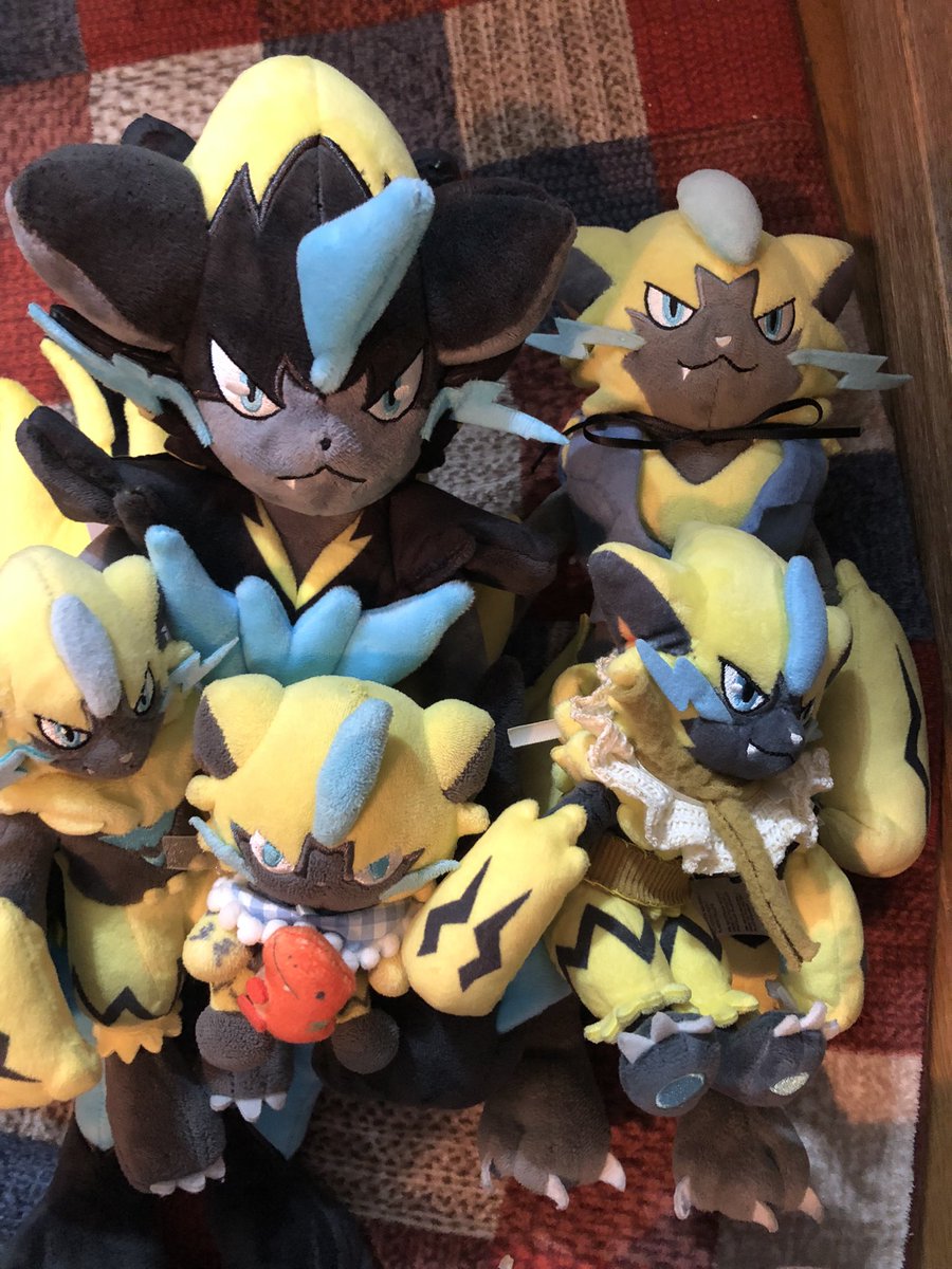 Zeraora_love807's tweet photo. いらっしゃい‼️でかい‼️大家族になってきたなぁ、、 https://t.co/vmBGiFiubN