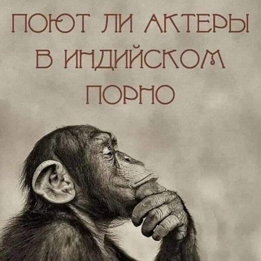 seksiludi's tweet photo. Задумался. https://t.co/kMHM5Vv4Ao