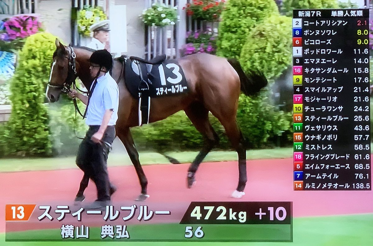 sasuke0319's tweet photo. スティールブルー🩵❤️
無事に🙏(｡>ㅅ<｡)🏁🏇💨✨
頑張ってねー❣️٩( ᐛ )و✊✊
#新潟7R
#新潟日報賞
#スティールブルー https://t.co/kQmPEE9oiE