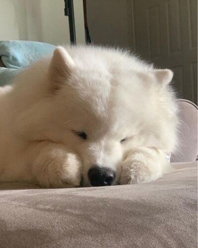 ggnot235's tweet photo. อยากจับตุ๋นให้หมด https://t.co/lHfeebdY9d