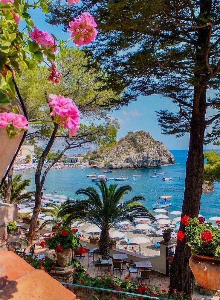 OdileMartin4's tweet photo. @sky1948
@patrickpino8
@pilote_daniel
@jeancayeux
@danielvangeel
@laurentTaisoub
@guillaume0623
@zeppajacky
@mirato9
@charlesNoelle2
@page_alexandre
Bonjour 👋 les garçons 👦 bonjour à tous les autres Bon week-end bonne semaine PSDV ☕️🥐😘 https://t.co/4r2L88TecF
