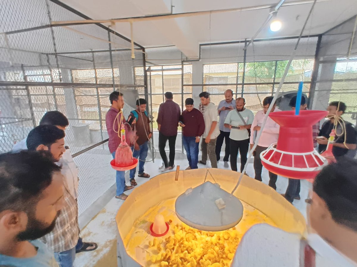 IcarPoultry's tweet photo. ICAR-DPR successfully conducted a three-day Farmers' Training Program on "Scientific Poultry Production" from 22–24 July 2026, with the participation of 31 farmers and entrepreneurs, including 7 women, from 6 States.
#icar @icarindia @AgriGoI @PIBDARE https://t.co/gPJtHnWkXl