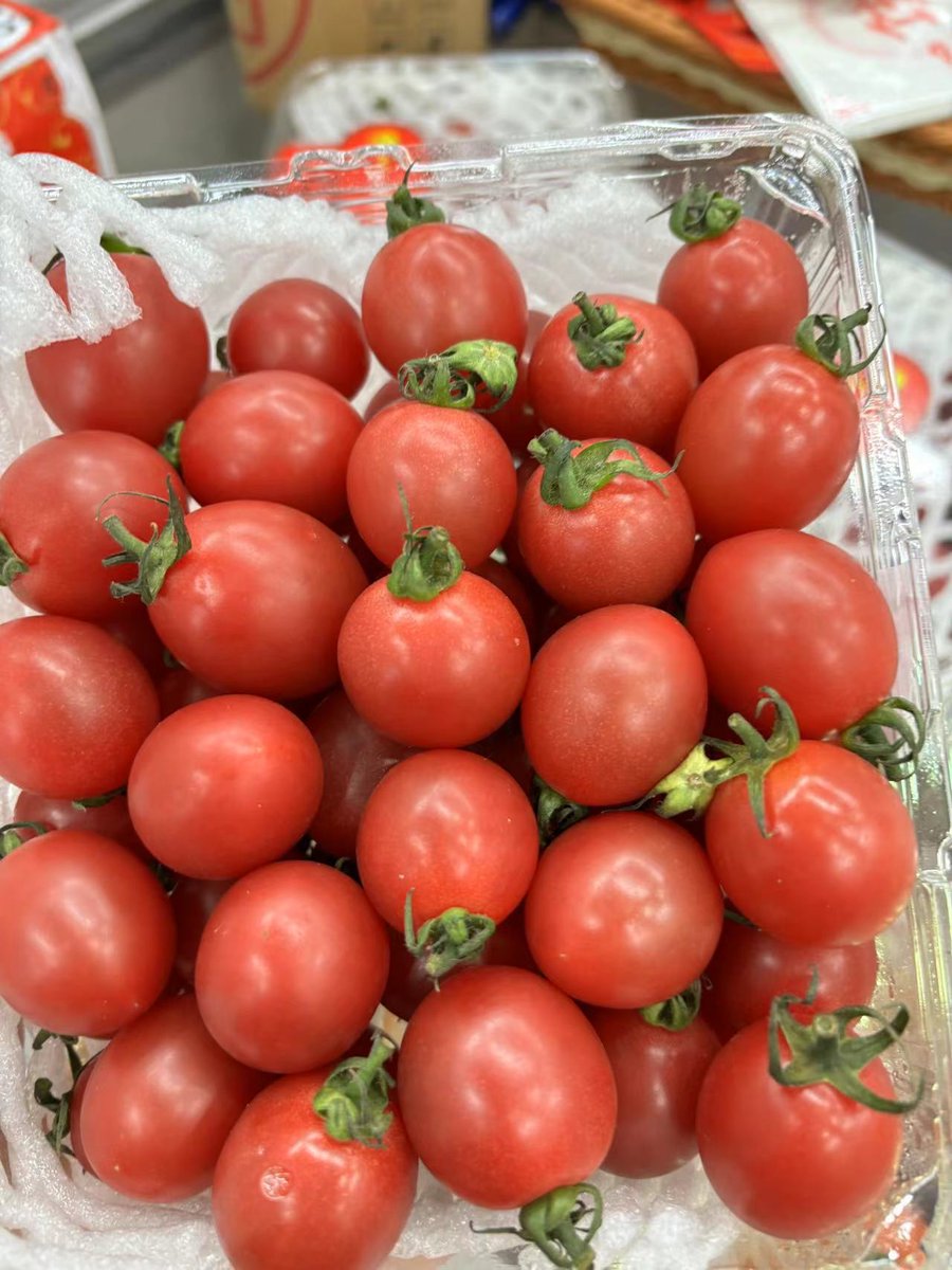 x_marven's tweet photo. Just tried the new organic cherry tomatoes—juicy, sweet, and zero weird aftertaste! Perfect for salads or snacking, 10/10 would buy again. #FreshFind #GroceryHits https://t.co/GZTSlzvCIW