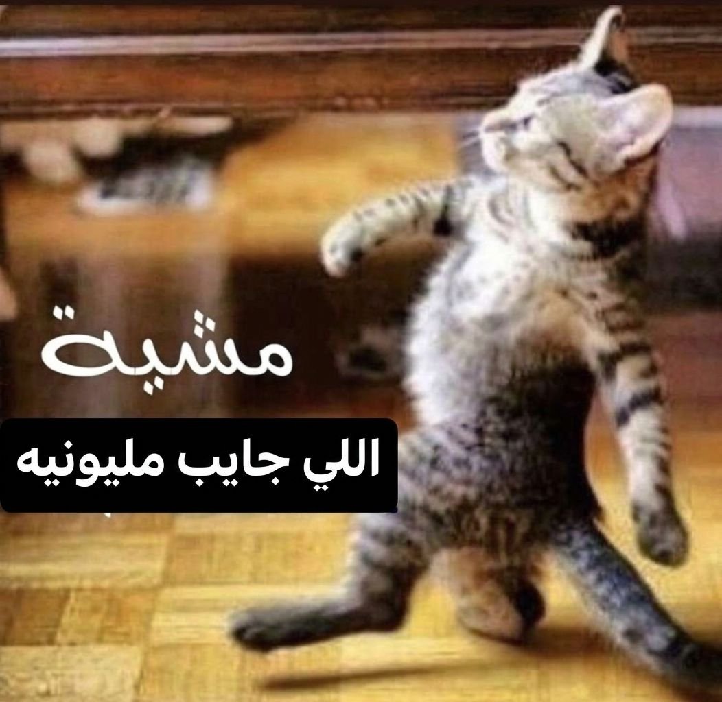 فراس | shadow tweet media