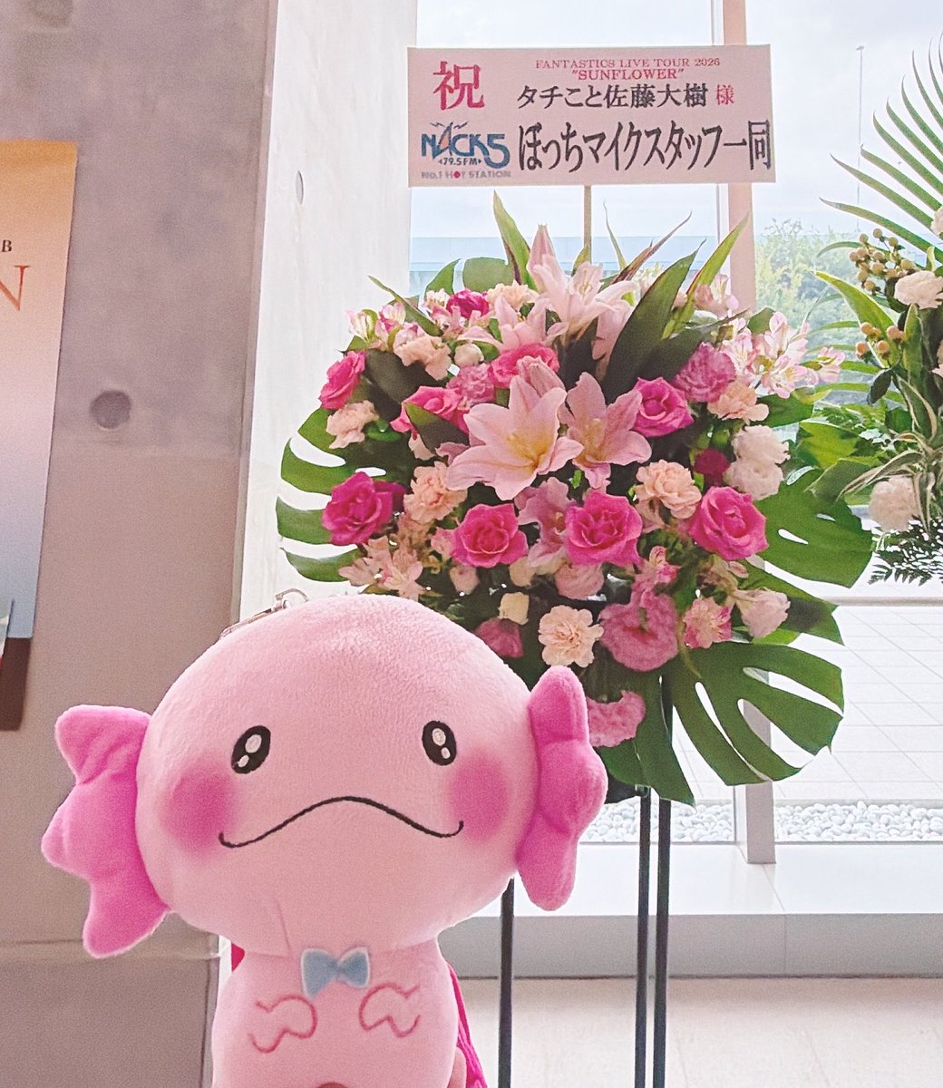 labi_kei's tweet photo. FANTASTICS畑🌻
ぽっちマイクはうぱちゃんカラー🩷
紅茶花伝とsyudou さんのカラーハート💜
お花たくさん、綺麗🥰
#SUNFLOWER
#FANTASTICS https://t.co/XaQ8ZQSyYf