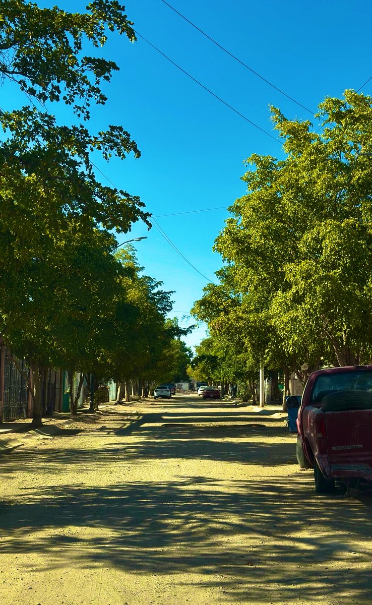 PabloMadridl's tweet photo. Estos fraccionamientos están juntos, y la diferencia en la vegetación es evidente.  La solución es sencilla: el gobierno debe exigir a las constructoras que planten un árbol por cada casa.  Las imágenes son contundentes y no dejan lugar a dudas sobre la efectividad de esta medida https://t.co/DvZcOlY8r5