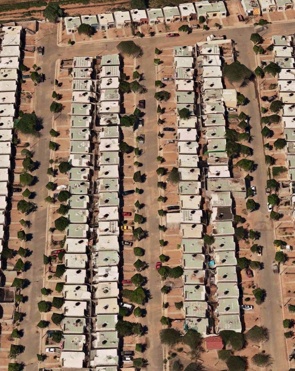 PabloMadridl's tweet photo. Estos fraccionamientos están juntos, y la diferencia en la vegetación es evidente.  La solución es sencilla: el gobierno debe exigir a las constructoras que planten un árbol por cada casa.  Las imágenes son contundentes y no dejan lugar a dudas sobre la efectividad de esta medida https://t.co/DvZcOlY8r5