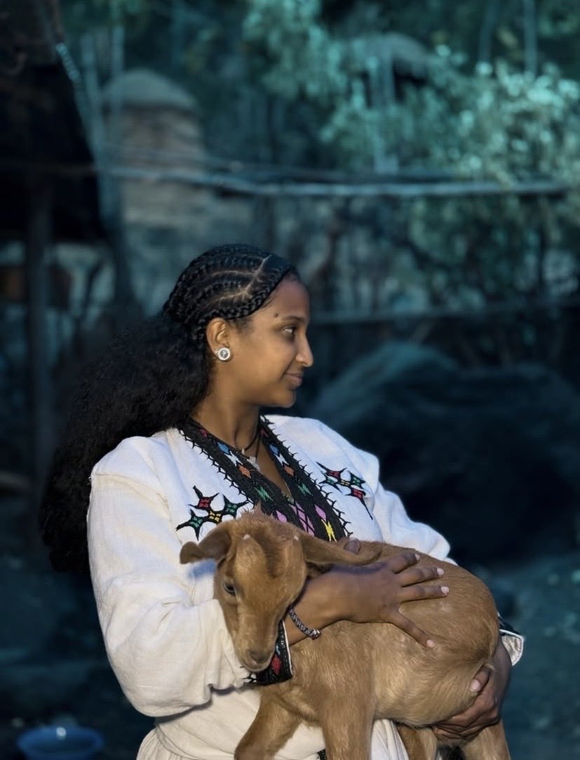Eth_Ireland's tweet photo. መልካም ቀን 💚💛❤️ https://t.co/hamGm1rfCb