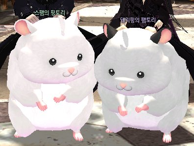mabijoooa's tweet photo. 짜방님이 햄찌를 주셧어요 https://t.co/8rSdRywz8u