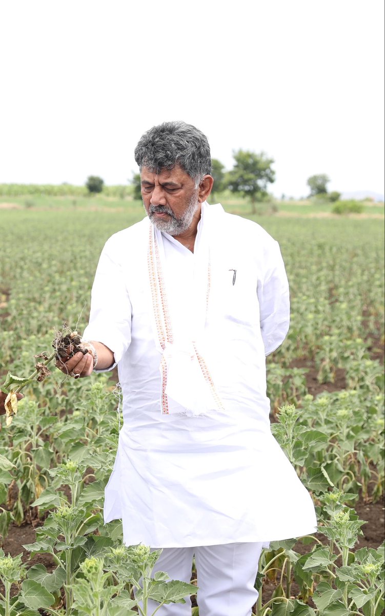 DKShivakumar's tweet photo. ಚಿತ್ರದುರ್ಗ ಜಿಲ್ಲೆಯ ಬರ ಪೀಡಿತ ಪ್ರದೇಶಗಳಿಗೆ ಇಂದು ಖುದ್ದಾಗಿ ಭೇಟಿ ನೀಡಿ, ಮಣ್ಣಿನ ಗುಣಮಟ್ಟ ಹಾಗೂ ಬೆಳೆಗಳ ಬೆಳವಣಿಗೆಯನ್ನು ಪರಿಶೀಲಿಸಿದೆ. ಅಲ್ಲದೆ, ಬರ ಪರಿಸ್ಥಿತಿ ಕುರಿತು ಅಧಿಕಾರಿಗಳಿಂದ ಮಾಹಿತಿ ಪಡೆದುಕೊಂಡೆ.

ಈ ವೇಳೆ ಉಪಮುಖ್ಯಮಂತ್ರಿಗಳಾದ ಡಾ. ಜಿ. ಪರಮೇಶ್ವರ ಹಾಗೂ ಸಚಿವರಾದ ಶ್ರೀ ಈಶ್ವರ ಖಂಡ್ರೆ, ಸ್ಥಳೀಯ ಜನಪ್ರತಿನಿಧಿಗಳು, ಹಿರಿಯ ಅಧಿಕಾರಿಗಳು, ರೈತ ಮುಖಂಡರು ಹಾಗೂ ರೈತ ಬಾಂಧವರು ಉಪಸ್ಥಿತರಿದ್ದರು.